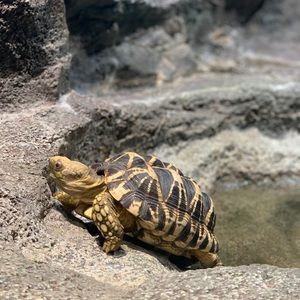 Meet your Posher, Bonnie